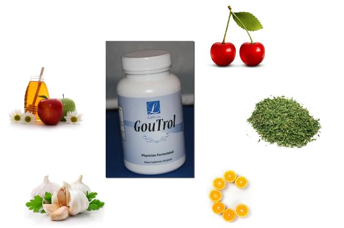 goutrol gout supplement
